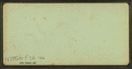 View of a family in Laconia, N.H.