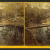Trout Farm, Meridith, N.H.