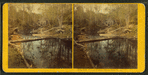 Trout Farm, Meridith, N.H.