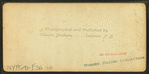 Trout Farm, Meridith, N.H.