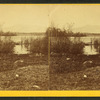 View of the Pond.