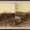 Looking up the river, to Fall Mountain, Walpole, N.H.
