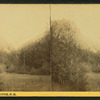 Dixville Notch, N.H.