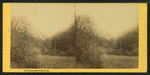Dixville Notch, N.H.