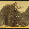 Profile in Dixville Notch, N.H.