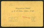 Street view, Gorham, N.H.