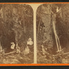 Cave Falls.