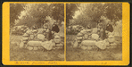 A Rock Garden Seat. Michigan Cottage Grounds.