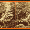 Devil's Den and Falls, Purgatory, Mount Vernon, N.H.