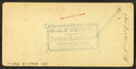 New Boston Village, N.H.