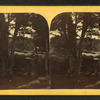 The Meadow Bridge, Peterboro, N.H., near view.