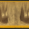 Ice work, photographed April 8, 1869, Wilmot, N.H.
