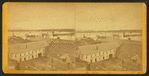 Geo. Hutchinson & Co. Flour & Grain [Store].