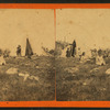 Indian camp, Pittsfield, N.H.