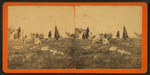 Indian camp, Pittsfield, N.H.