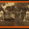 Young ladies in the Park, Suncook, N.H.