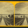 Avenue leading to Lake.