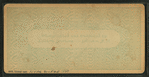 View in Center Harbor, N.H.