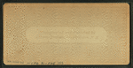 Lake Winnipeseogee (from the Old Pine), Centre Harbor, N.H.