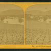 Red Hill, from Centre Harbor, N.H.