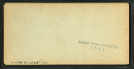 Senter House, from Garden, Center Harbor, N.H.