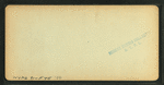 Steamboat Landing, from Senter House, Senter Harbor, N.H.