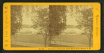 Steamboat Landing, from Senter House, Senter Harbor, N.H.
