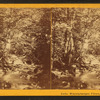 Approach to Ossipee Falls.