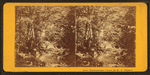 Approach to Ossipee Falls.