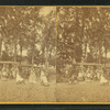 People in the Park.