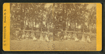 People in the Park.