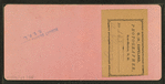 Family gathering, New Market, N.H.