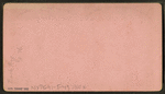 Back Bay, N.H.