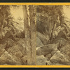 Pathway leading to Devil's Den, New Durham, N.H.