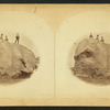 Elephant Rock.