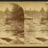 Gorge, Newport, N.H.