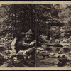 View from Indian Fall, looking down the Stream.