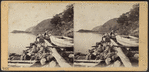 A View from Cold Spring, looking North.