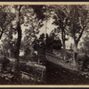 A View near Garrison's, looking North.