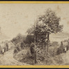 A View from Idlewild.