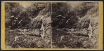 The Glen at Idlewild.