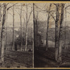 View, Tubby Hook and Spuyten Duyvel Creek.