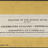 Celelbrated Stallion 'TIPPOSAIB.'