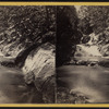 View in the Ravine, near Idlewilde.