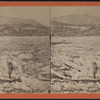 Ice Flow in the Hudson at West Point. [Winter.]