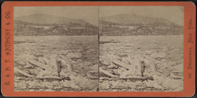 Index
