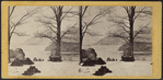 Looking North from West Point. [Winter.]