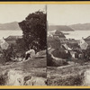 View from Cold Spring, looking South.