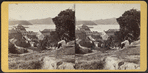 View from Cold Spring, looking South.