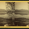 Chocorua Lake and Mountain, Tamworth, N.H.